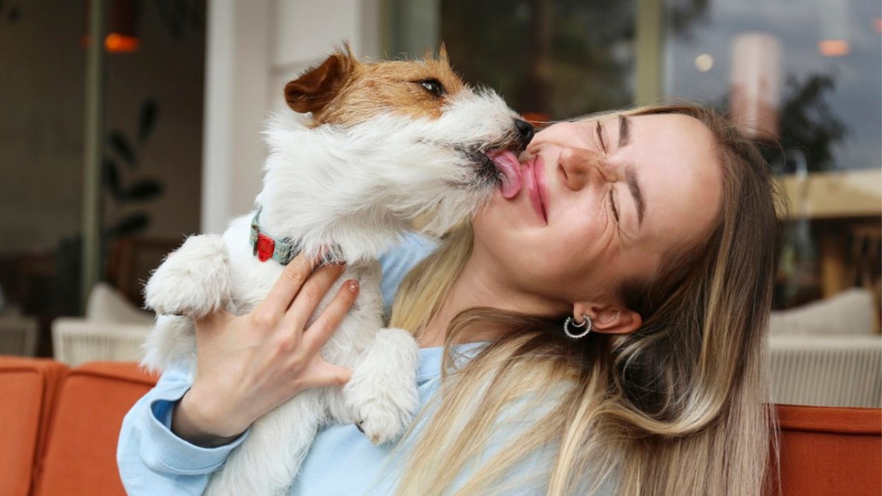 Signs You Have an Unbreakable Bond with Your Dog